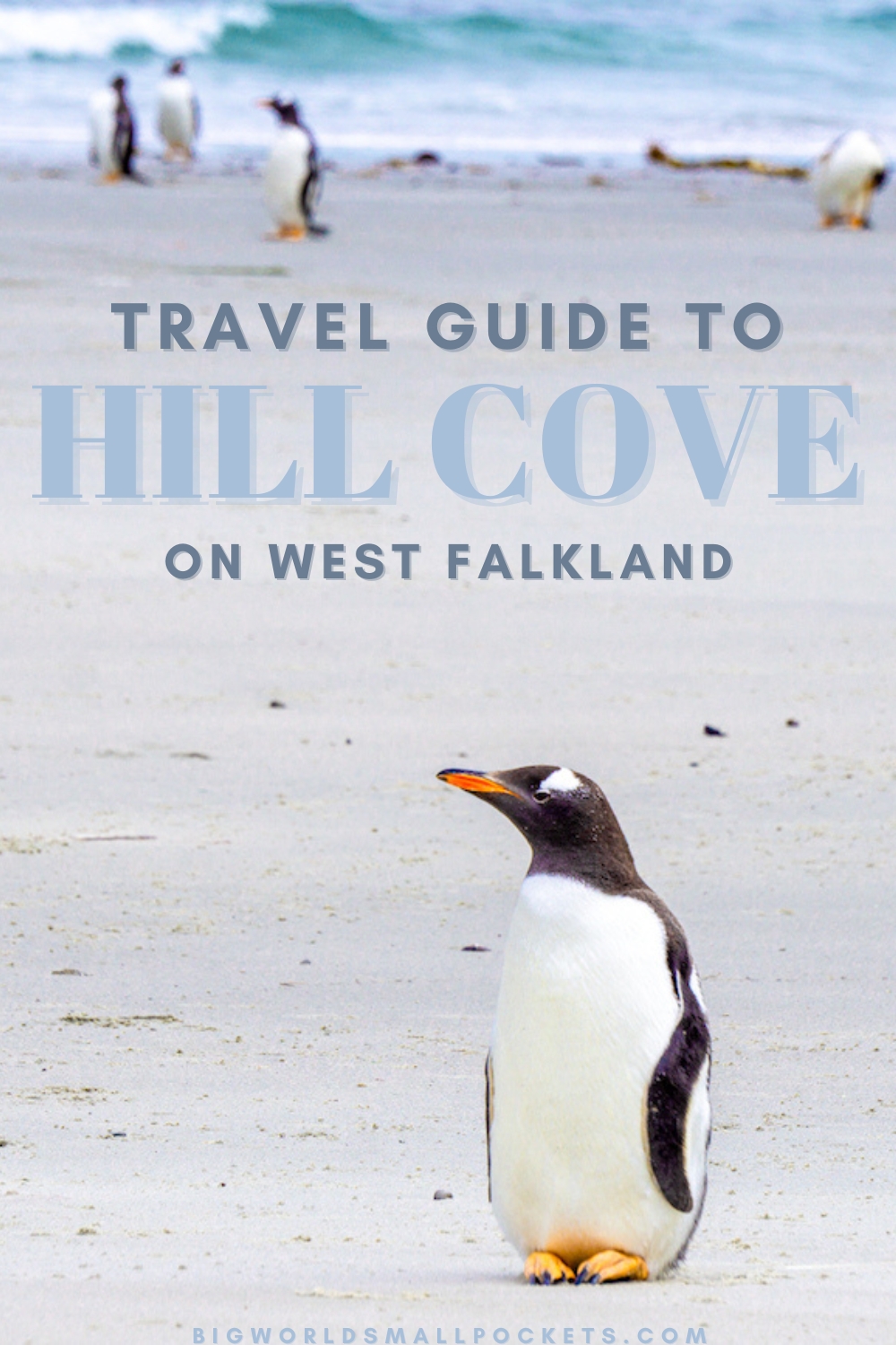 Travel Guide to Hill Cove, in the Falkland Islands