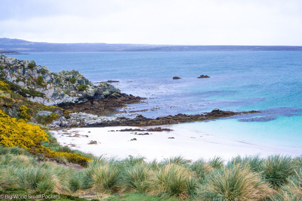 Falklands, Stanley, Gypsy Cove