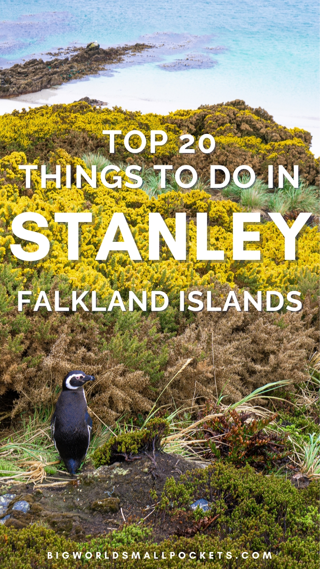 Top 20 Things to Do in Stanley, Falklands