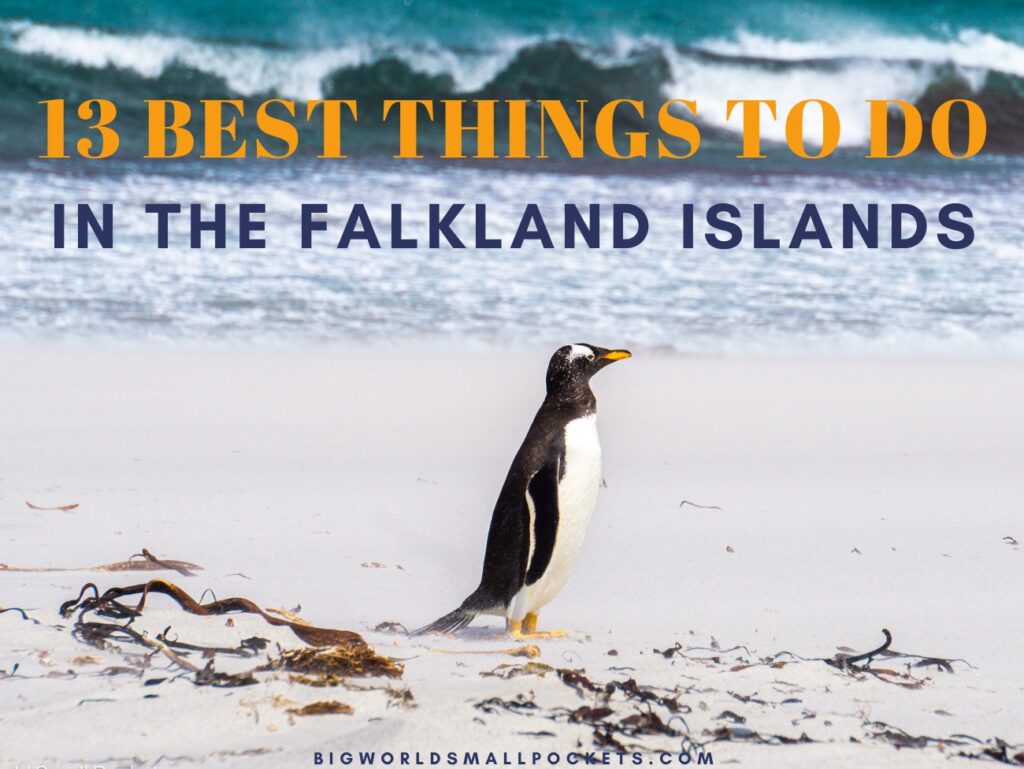 13 Best Things to Do in the Falklands Islands