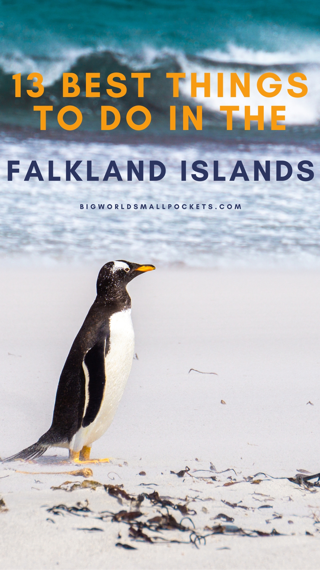 Top 13 Things to Do in the Falklands Islands