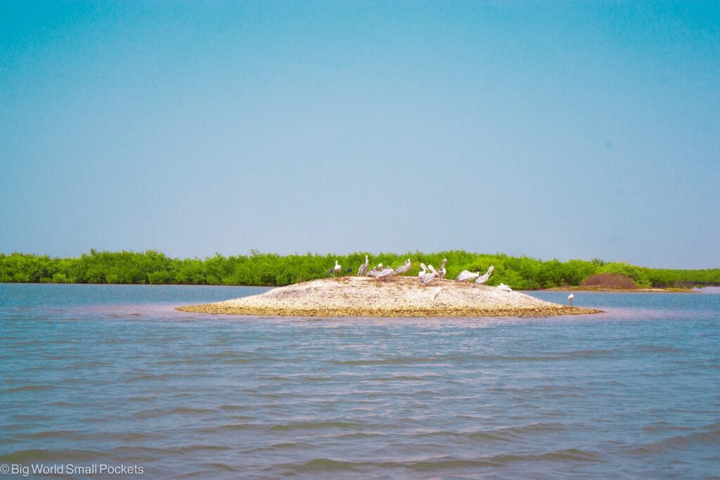 Senegal, Lake Somone, Pelicans