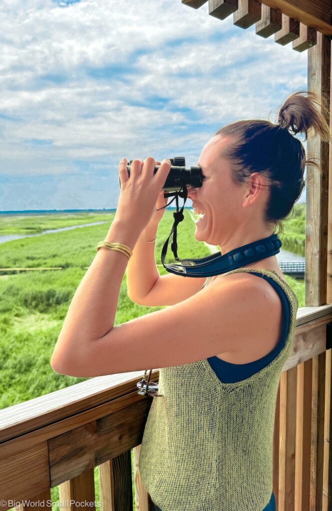 Netherlands, Flevoland, Birdwatching