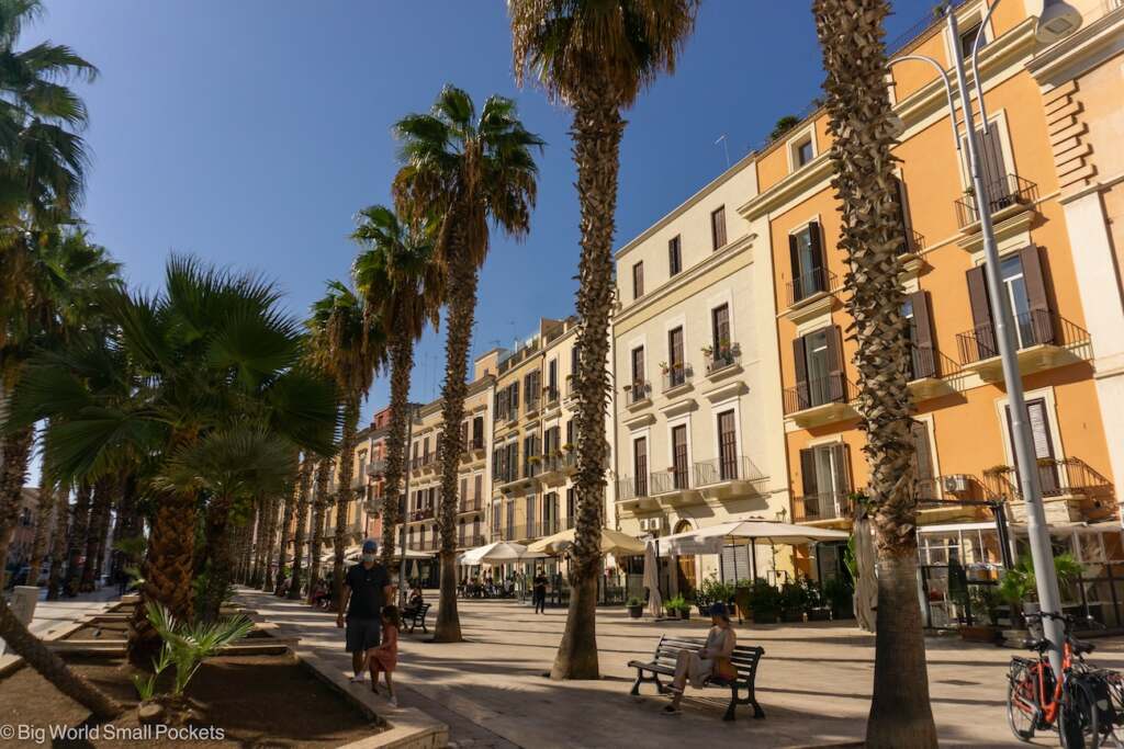 Italy, Bari, Street with Palm Trees