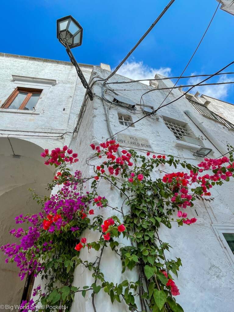 Italy, Puglia, Monopoli White Building with Bougainvillea