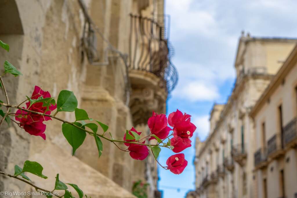 Sicily, Noto, Bougainvillea