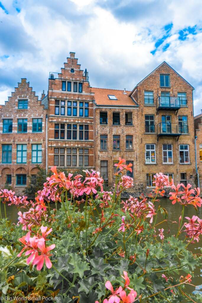 Belgium, Ghent, Geraniums and Houses