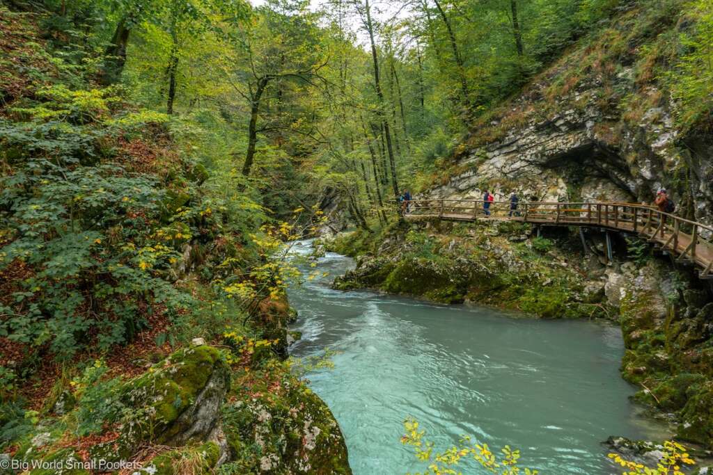 Slovenia, Vintgar Gorge, River Flowing