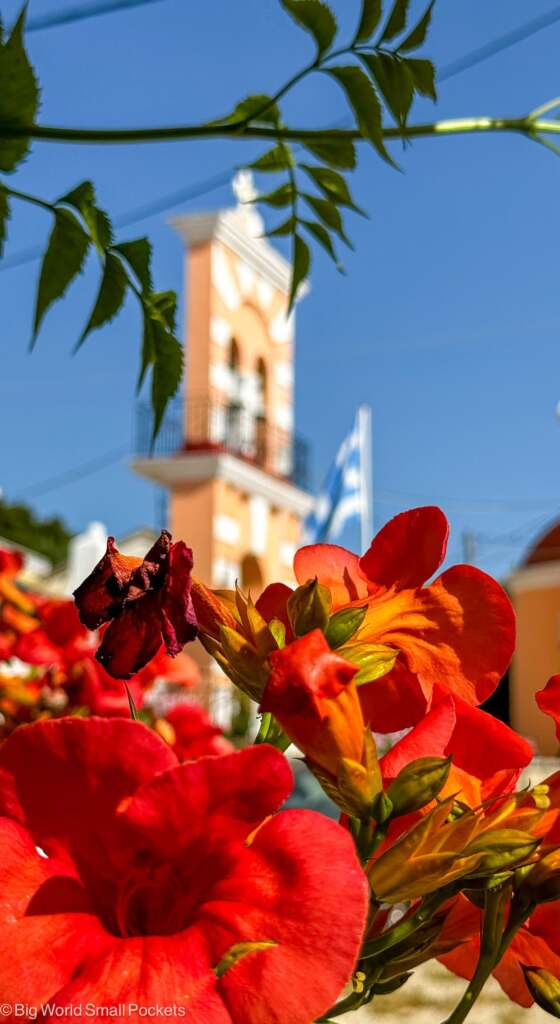 Greece, Corfu, Red Flowers