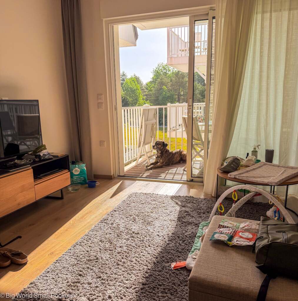 France, Pas de Calais, Dog at Evancy Apartment