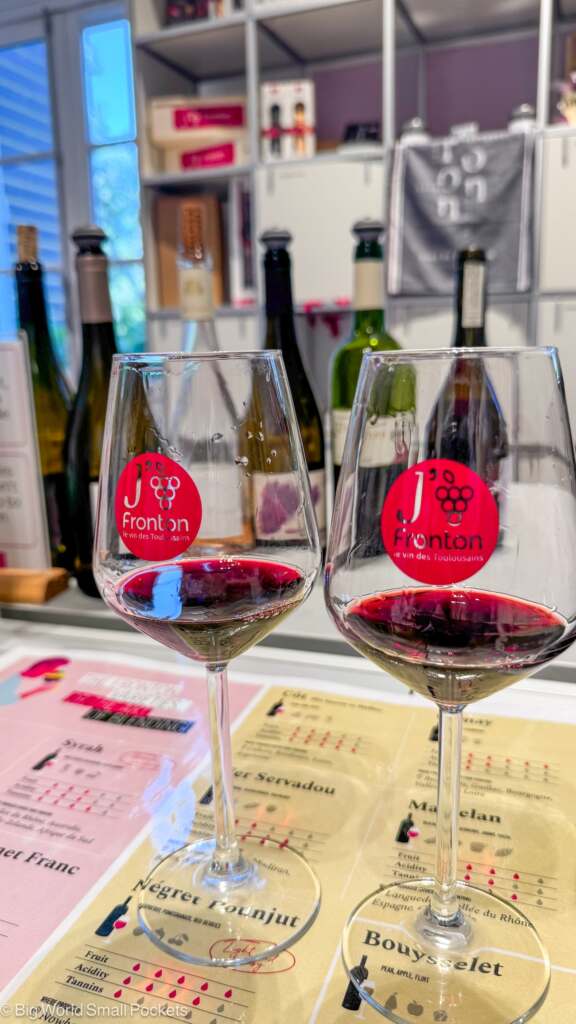 France, Haute Garonne, Fronton Wine Tasting