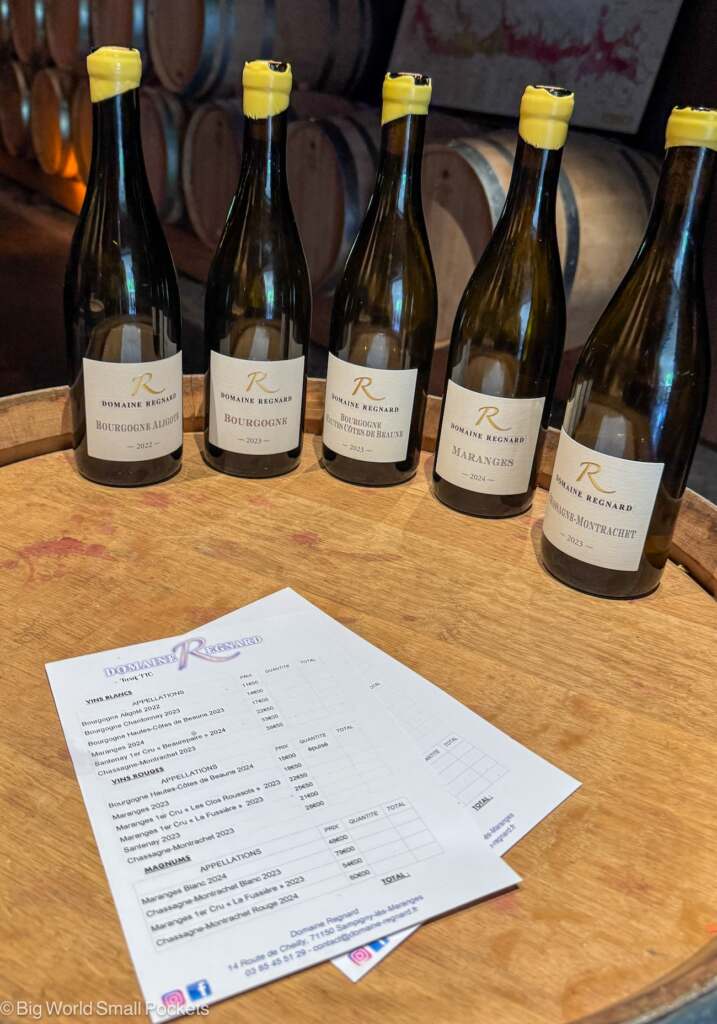 France, Burgundy, Domaine Regnard