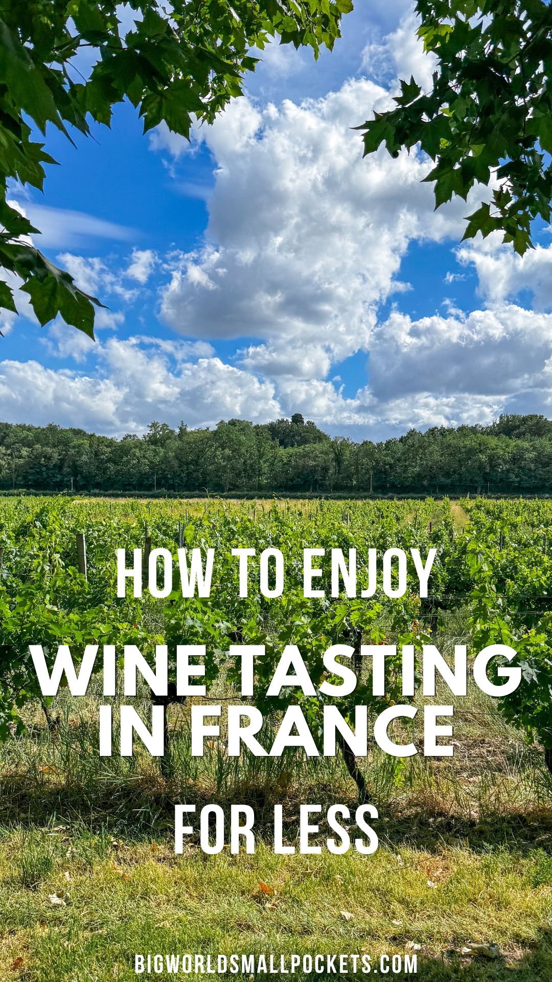 How to Enjoy Wine Tasting in France