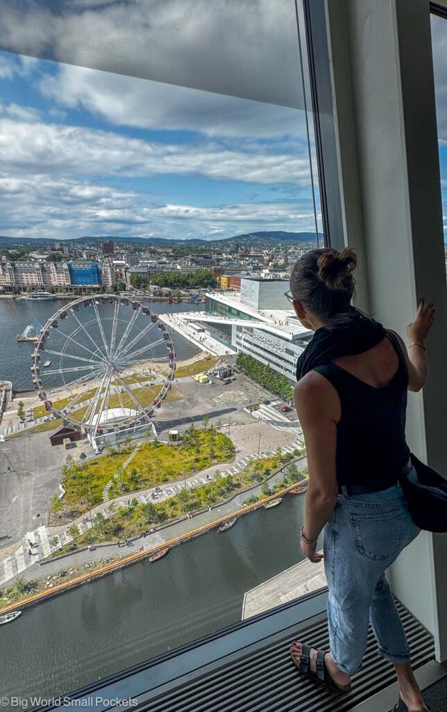 Norway, Oslo, Me in Museum Window