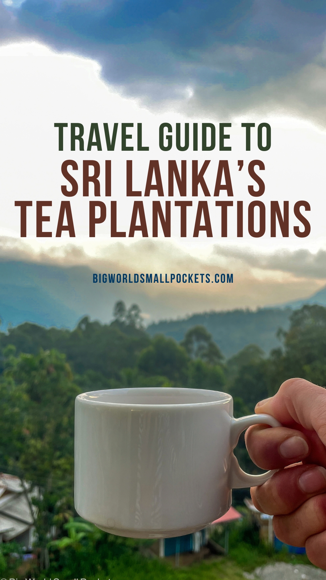 Complete Visitor Guide to Sri Lanka's Tea Plantations