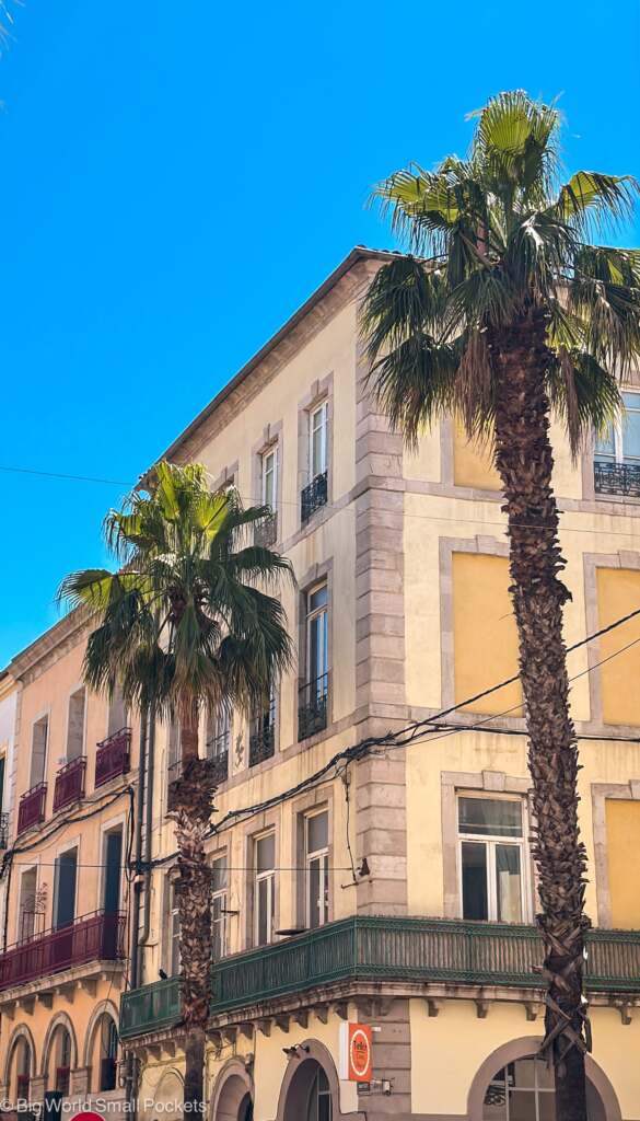 France, Sete, Buildings with Palm Trees