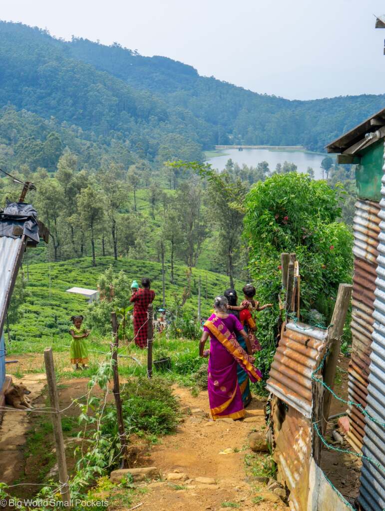 Sri Lanka, Tea Plantations, Local People