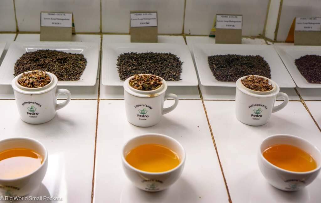 Sri Lanka, Tea Plantations, Tea Tour