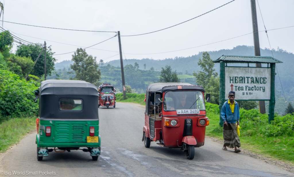 Sri Lanka, Tea Plantations, Tuk Tuk