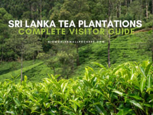 Tea Plantations Sri Lanka Complete Visitor Guide