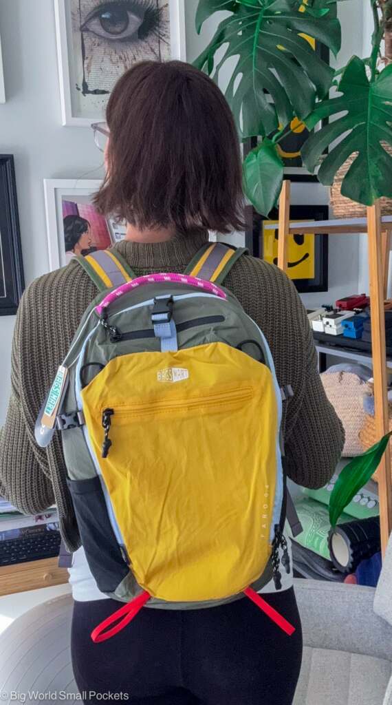 BAGSMART, Faro Backpack