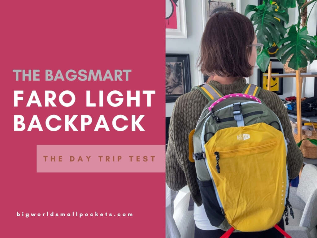 BAGSMART Faro Light Backpack