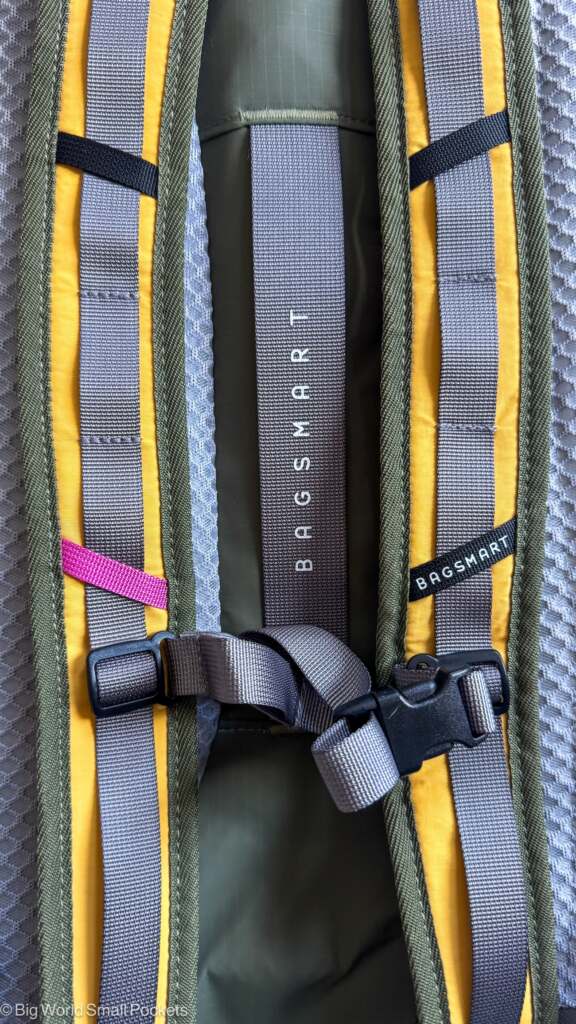 BAGSMART Faro Light Backpack, Back Panel