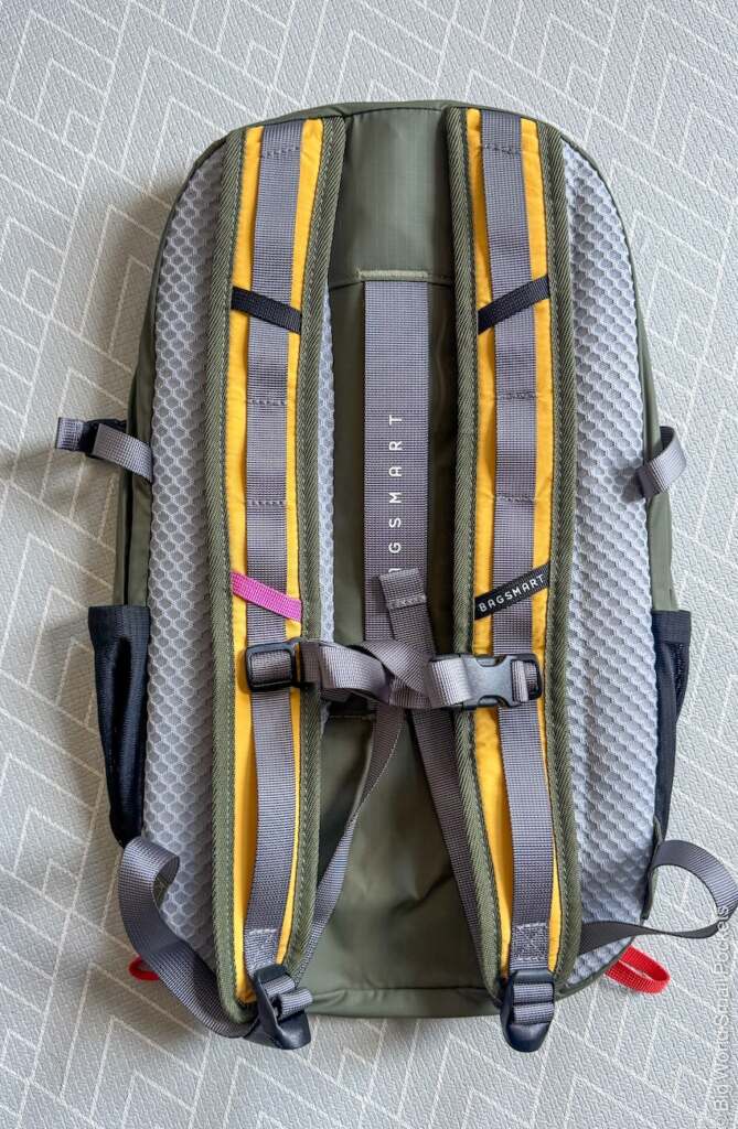BAGSMART Faro Light Backpack, Back Straps