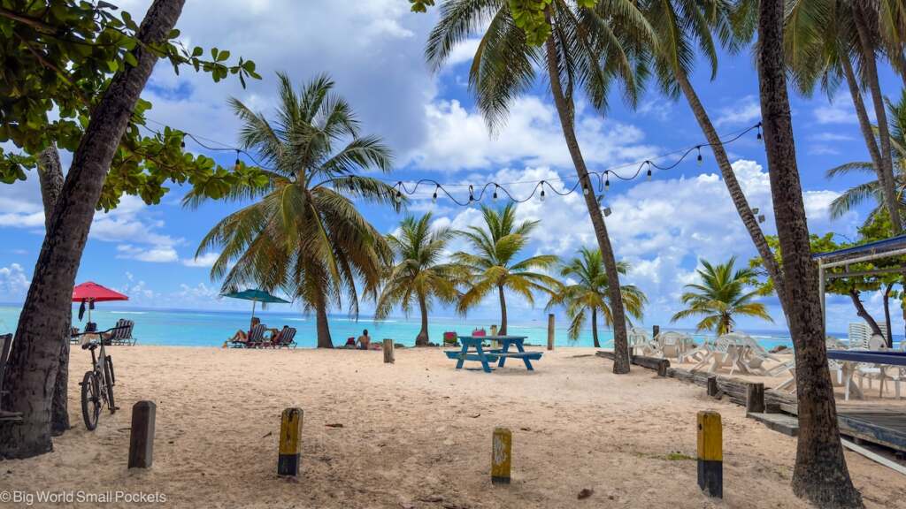 Barbados, Beach, Palm Trees