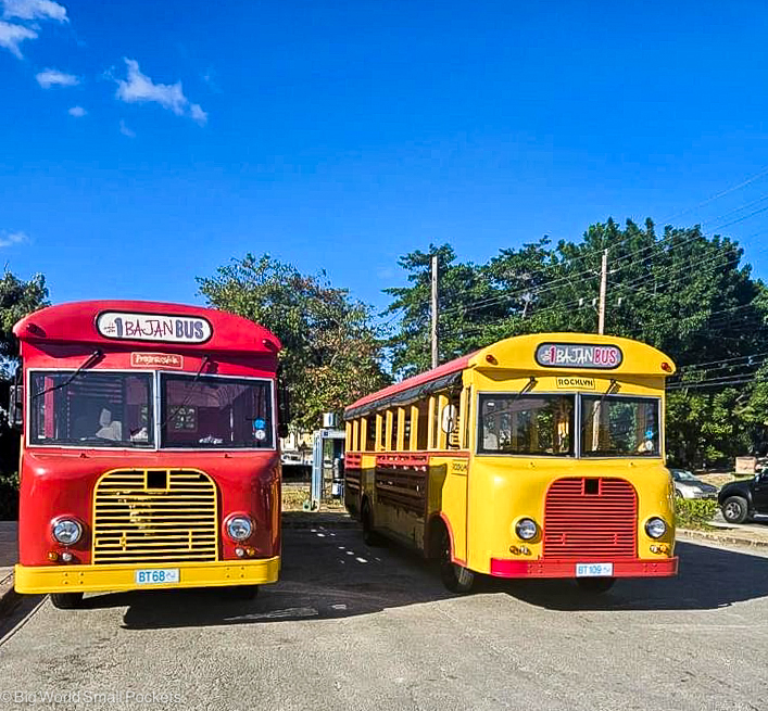 Barbados, Buses, Red and Yellow