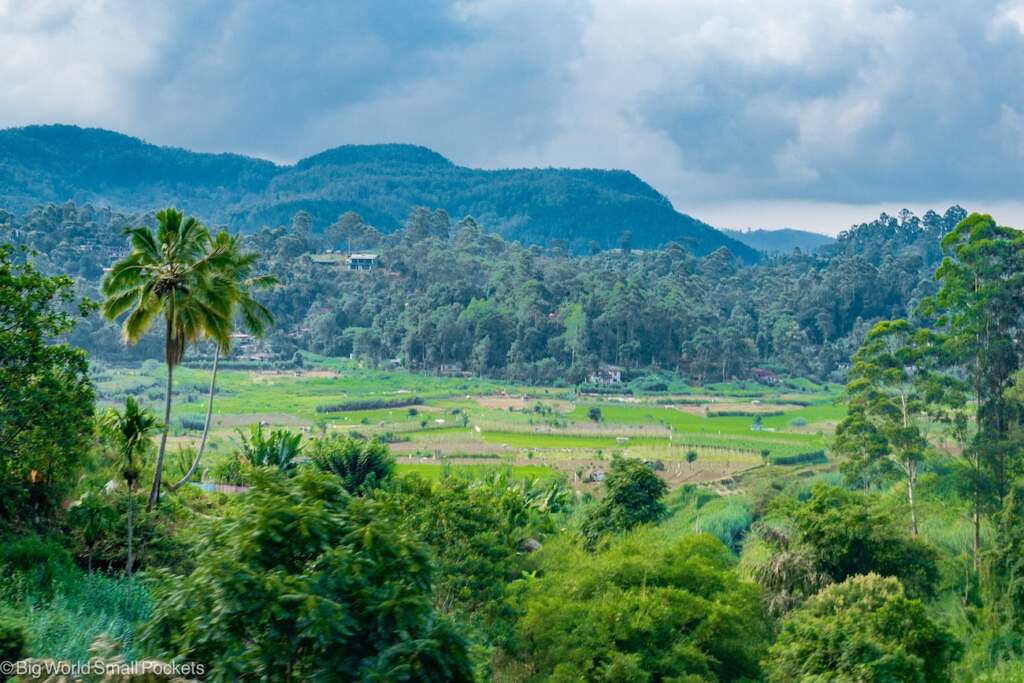 Sri Lanka, Around Kandy, Landscape