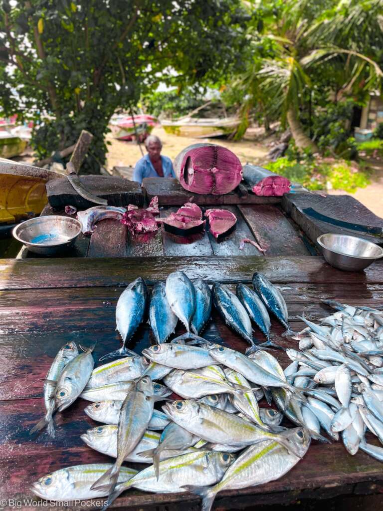 Sri Lanka, Galle, Fish Market Stall