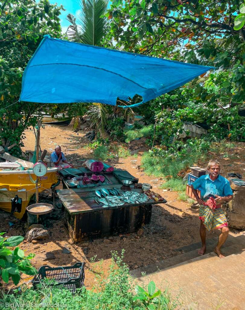 Sri Lanka, Galle, Fish Stall