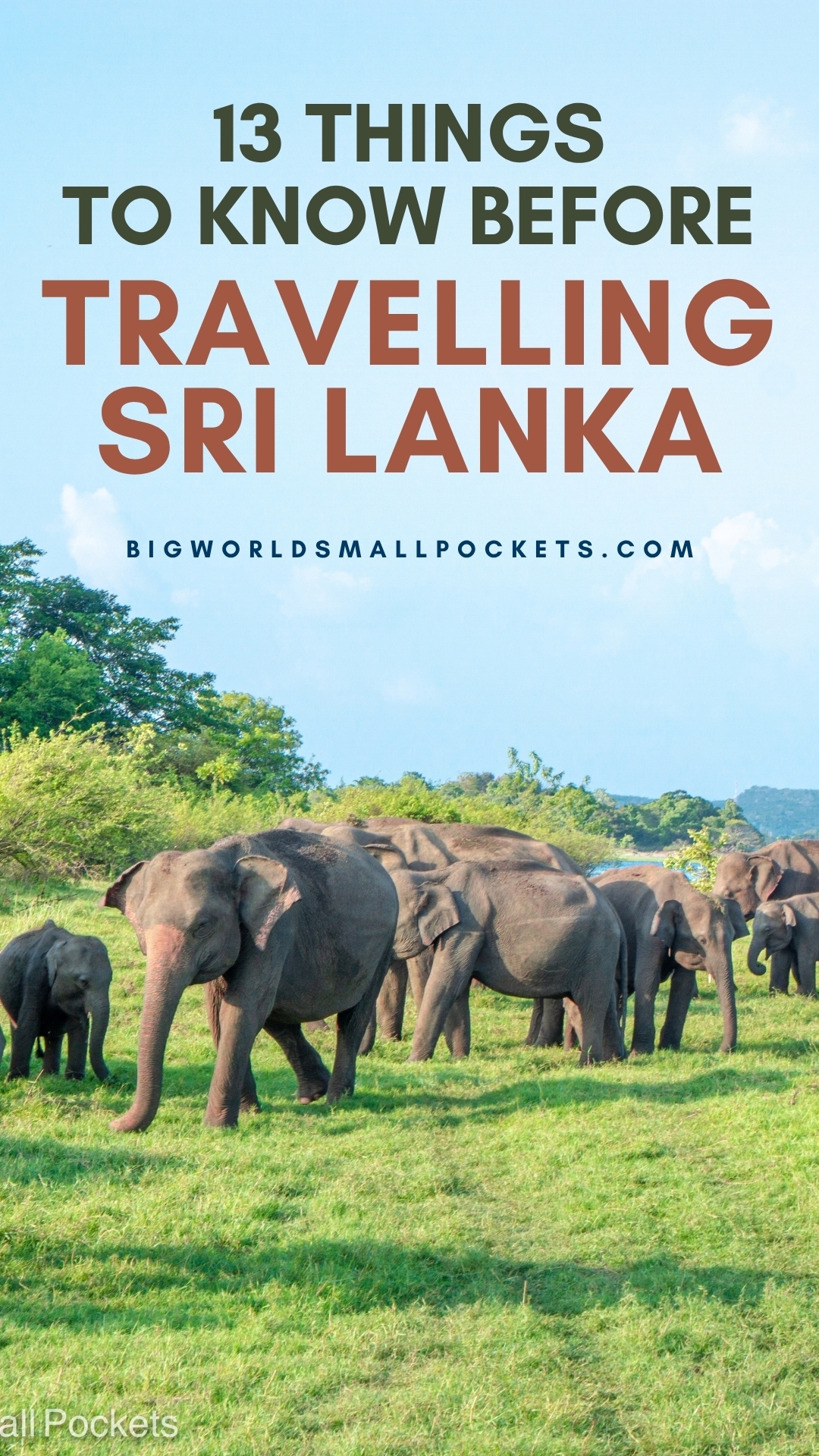 Things to Know Before Travelling Sri Lanka